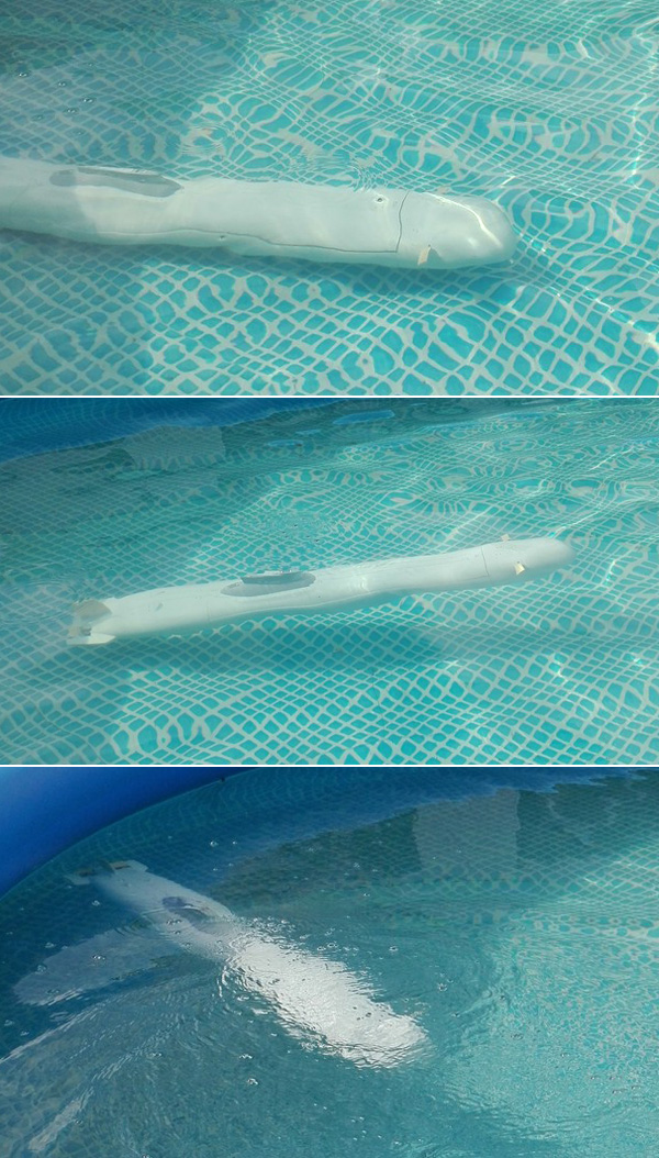 rc typhoon submarine