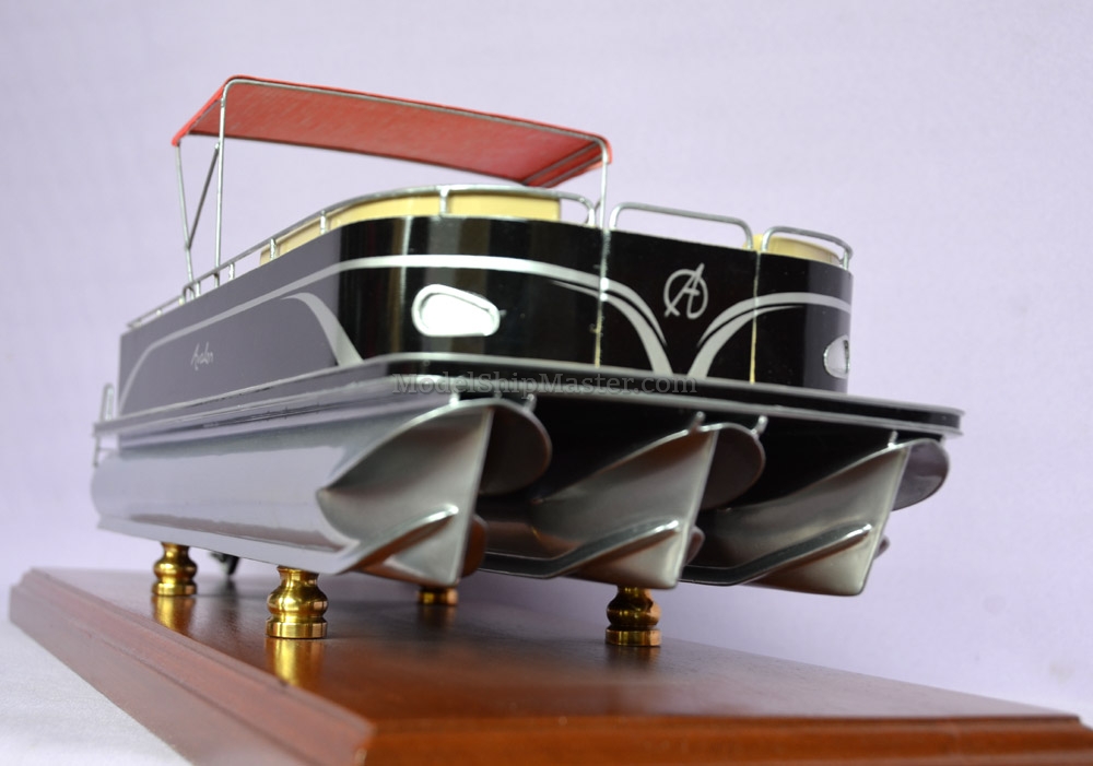 Tritoon model